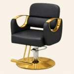 Buy 1 Proffessional Barber Chair